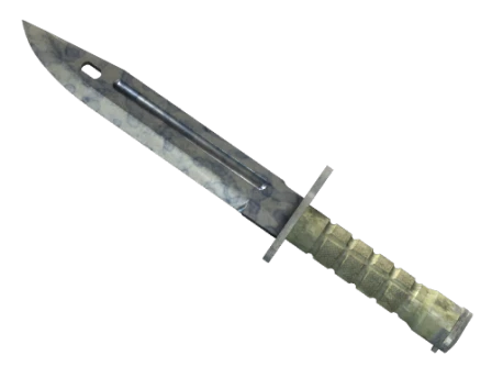 ☆ Bayonet | Stained (Well-Worn) CS:GO | Buy, Sell On Market CS:GO